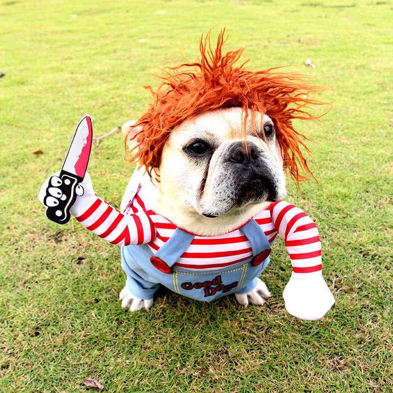 Dog costume
