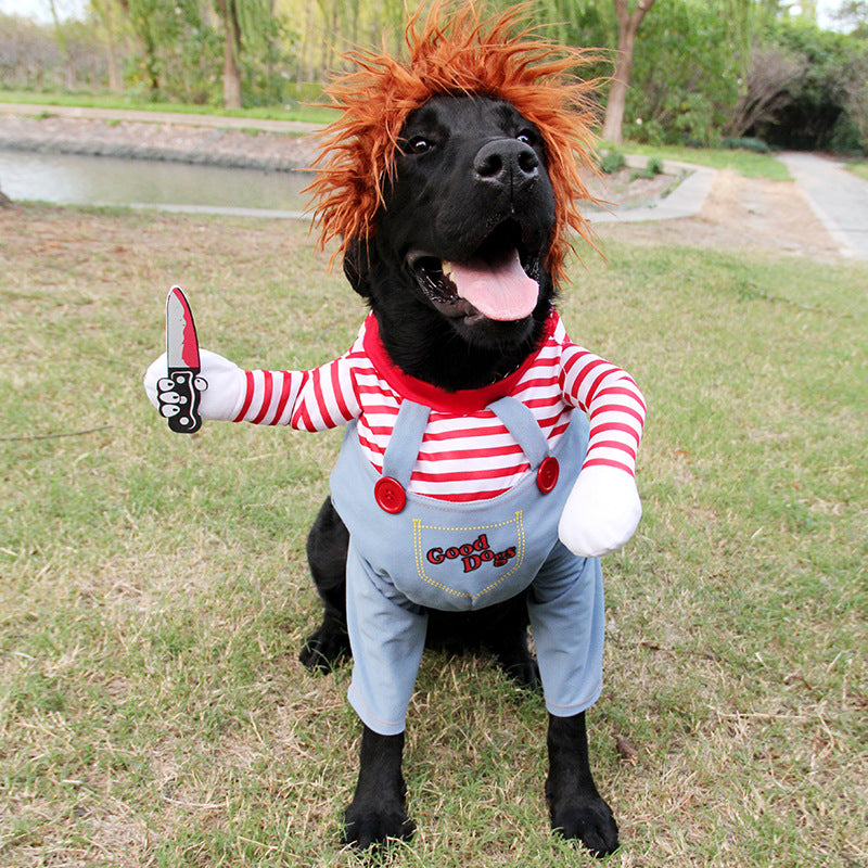 Dog costume