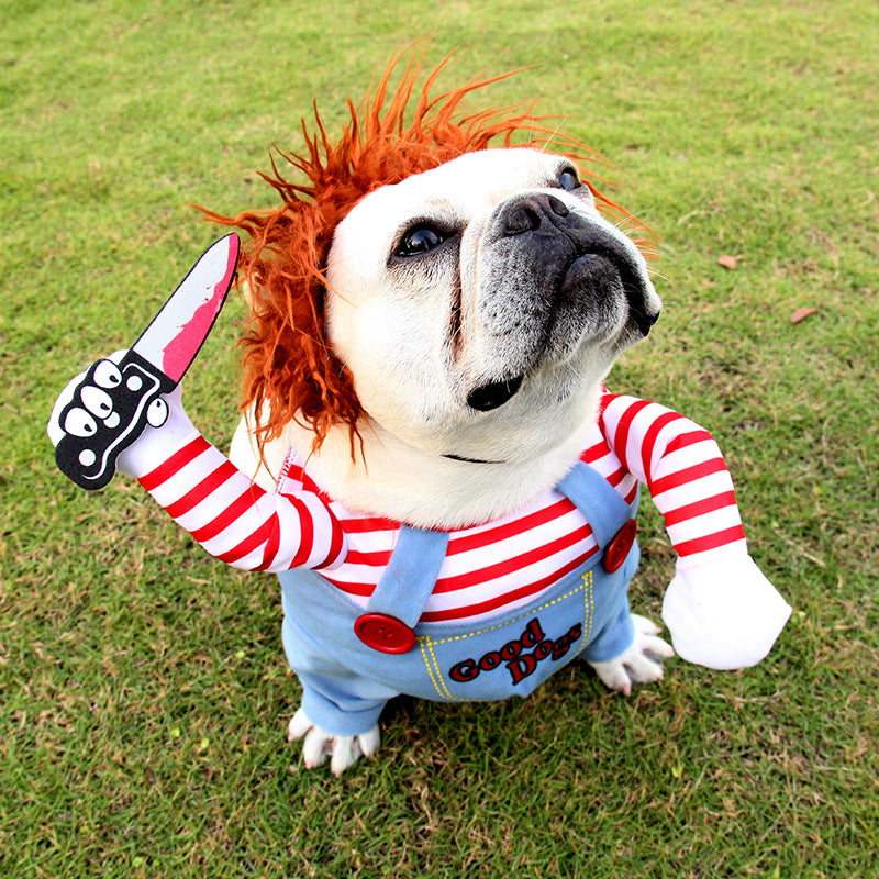 Dog costume