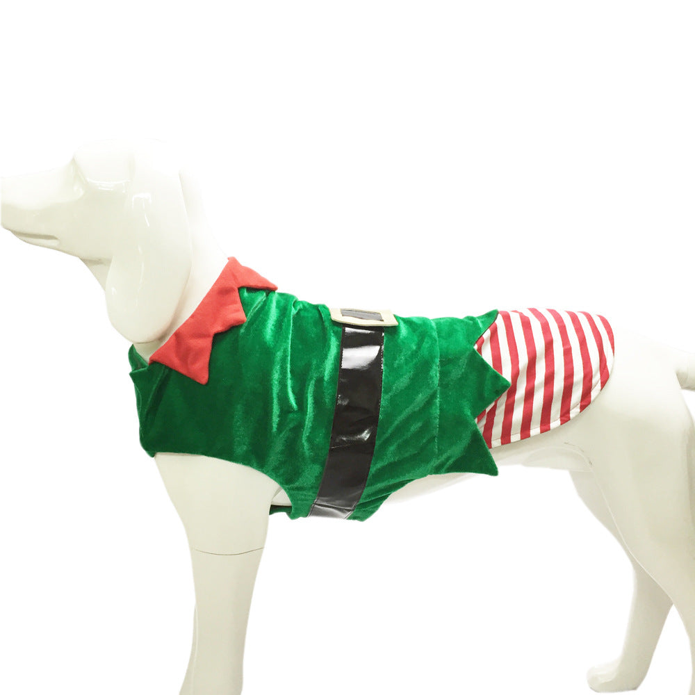Dog costume