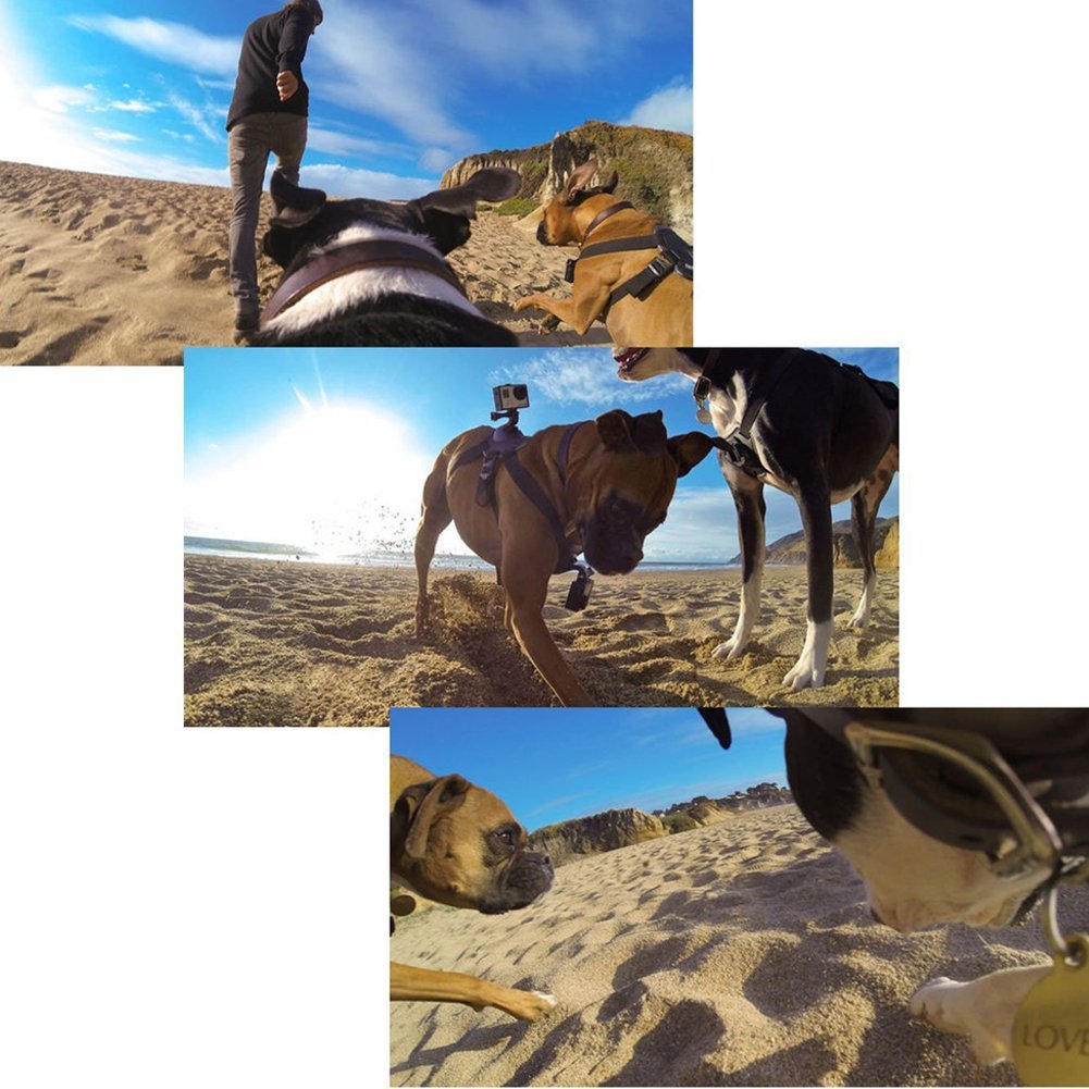 Dog Harness Chest Strap Camera attachable