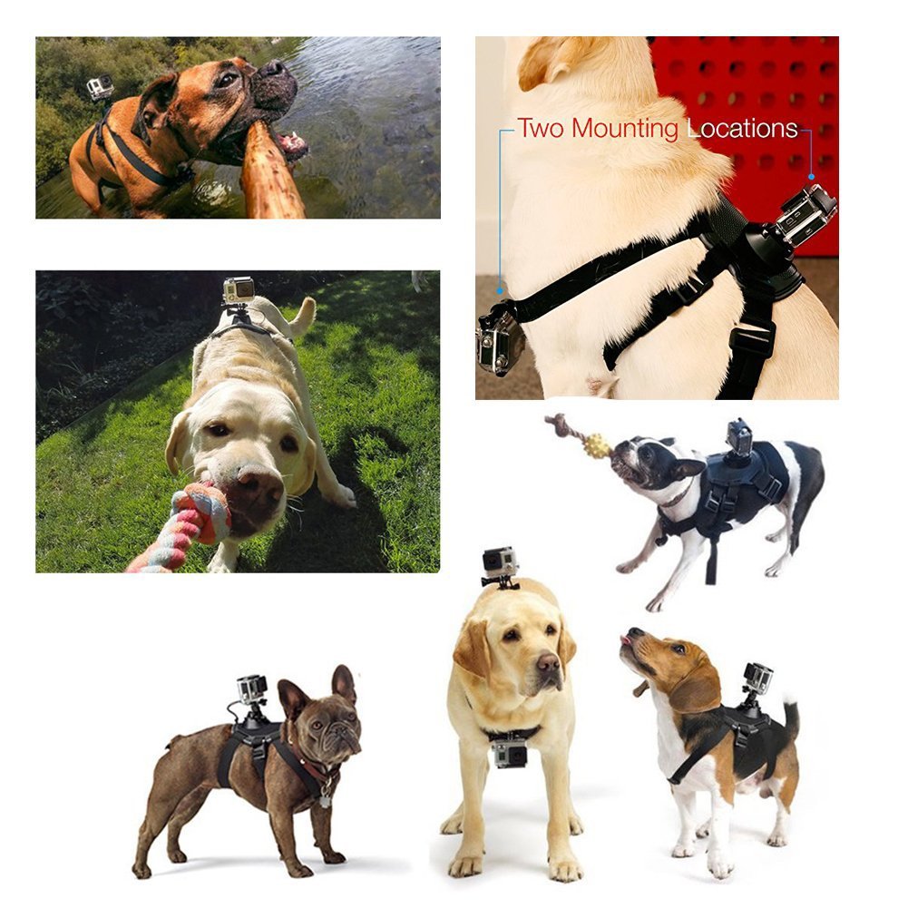 Dog Harness Chest Strap Camera attachable