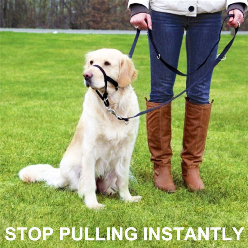 Dog Muzzle Adjustable Anti-bite Mask